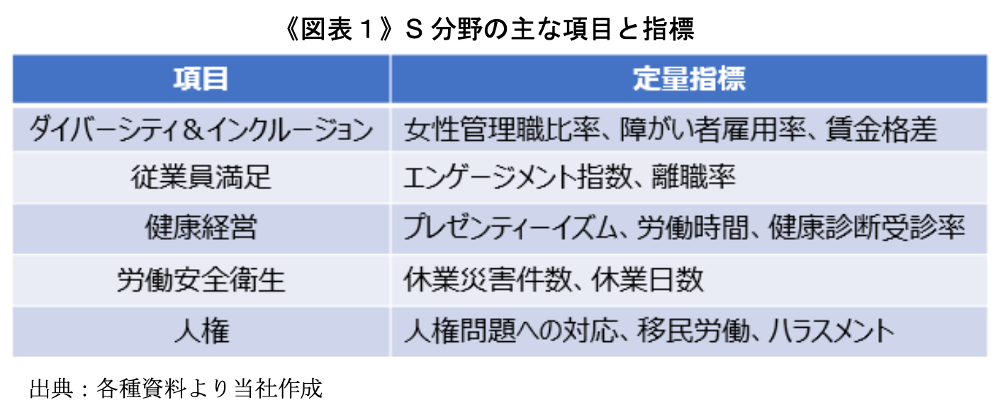 《図表1》S分野の主な項目と指標